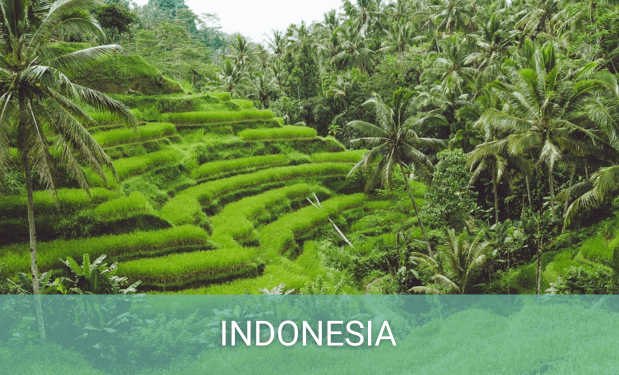 Viajar a Indonesia