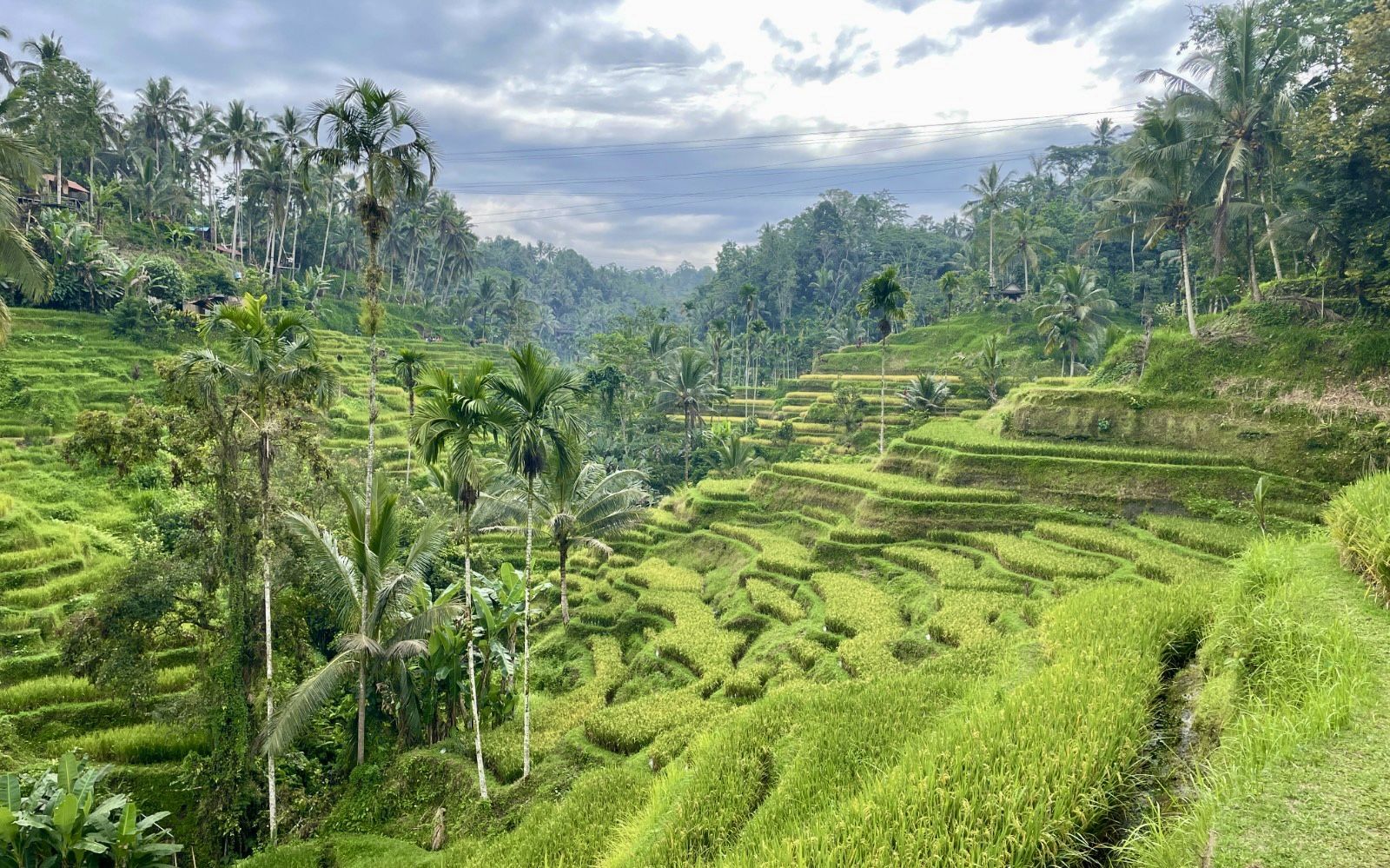 VIAJAR GRUPO INDONESIA